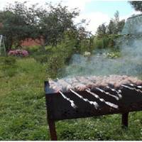 Ми вранці в суботу посадили дітей в машину, завантажили необхідні речі, продукти для шашлику на природі і вирушили на нашу дачу.