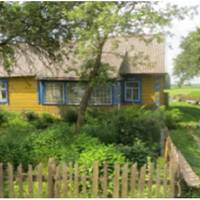 Кілька разів на місяць ми приїжджаємо в гості до дітей, веземо їм в подарунок солоні огірки і варення, спілкуємося з онукою. Ночувати не залишаємося, щоб не завдавати клопоту молодій сім’ї, ввечері