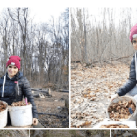 Думала, що завершила грибний сезон, але ж ні, вмовила чоловіка ще раз поїхати до лісу