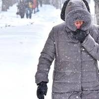 Нещодавно мені подзвонила колишня дружина мого чоловіка, вона більше місяця мені вже не телефонувала, а тут такий сюрприз. Колишню чоловіка я ніколи не бачила, лише на старих фото.