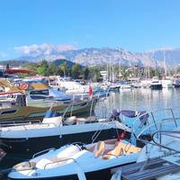 Єгиптянин три дні водив Зою по найкращих ресторанах Хургади, а тоді зізнався у палкому коханні і заявив, що готовий з нею одружитися. Однак, оскільки він істинний мусульманин, мусить отримати дозвіл н