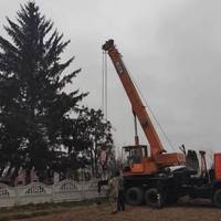 “Ми вийшли із землі і в неї підемо”: на Рівненщині ставлять ялинку з кладовища. Що кажуть люди?