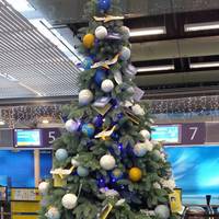 Проллється золотий дощ успіху та достатку: фінансовий гороскоп на 2021 рік для всіх знаків Зодіаку