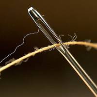 Притча про голку. Ти прочитаєш її за 30 секунд, але запам’ятаєш на все життя!