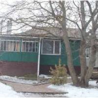 Коли син дізнався про мій заповіт, він миттю мені зателефонував, вперше за чотири роки сам перший набрав мене. Йому дуже не сподобалося те, що я переписала свій будинок на сусідку.