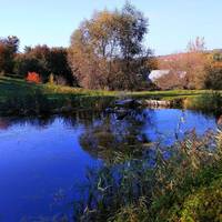 Він зблід спочатку, а потім видав: – Я тебе будь-яку візьму. І дитина твоя моєю буде. Подумай сама, як ти батькам своїм скажеш? Я твого татка знаю, він миттю тебе з дому пожене. І куди ти потім?