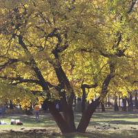 – Дитина, звичайно, щастя! – заявив чоловік. – Але я, мабуть, не готовий. Рано мені бути батьком. Життя у мене одне! І ось так мучитися я не готовий! – додав Андрій уже в дверях з валізою