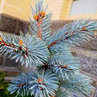 Фінансовий гороскоп на січень 2021 року: хто зі знаків Зодіаку забуде про проблеми з грошима