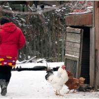 За всі роки чоловік так і не спромігся провести воду в дім. Зранку Леся одягла куртку, взула свої діряві мокрі чоботи, які не встигли висохнути від вчорашнього дня, взяла відро і пішла до криниці по