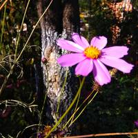 Мама мене не послухала. Вона все-таки переписала квартиру на сестру. Та, природно, прогоріла і не змогла розрахуватися з боргами. Зустрівшись з сестрою і мамою, я дізналася що у них є вихід з ситуації