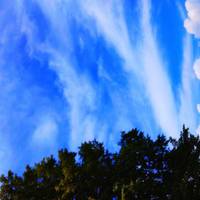 Гороскоп на січень 2021 року: що приготував початок нового року кожному зі знаків Зодіаку