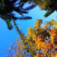 Таро-прогноз на січень 2021 року: Перший місяць нового року пройде успішно, якщо заздалегідь дізнатися про те, які події відбудуться