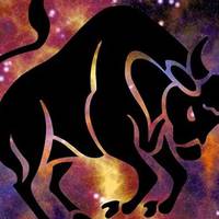 Рік білого металевого Бика 2021 — що чекає на кожен знак зодіаку: гороскоп від астролога