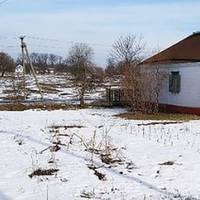 Микола йде по полю, підбирає колоски пшениці, які пропустив комбайн. Зараз він багатий фермер, в якого мало не пів села працює, а ще зовсім недавно сам не мав на хліб, рахував кожну копійку.