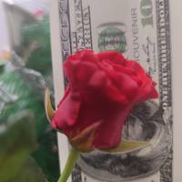 Фінансовий гороскоп на перехідний тиждень з 28 грудня 2020 по 3 січня 2021 року