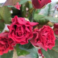 Мене покинув коханий. Я одна в чужому місті. У мене тут немає знайомих, мій дохід залишає бажати кращого. А зустрілись ми через два роки