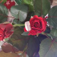 Любовний гороскоп на тиждень з 28 грудня по 3 січня: незважаючи на холод зими, серця зігріває любов