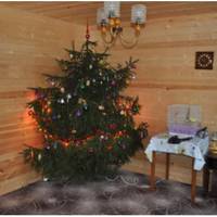 31 грудня теща запросила нас всіх на дачу святкувати Новий рік. Ми купили подарунки, набрали багато продуктів, завантажили їх в машину і поїхали. В будиночку мама дружини накривала на стіл, а батько