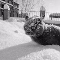 Морози до мінус 15°: синоптик розповів, коли до України прийде похолодання