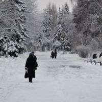 Мій тато працював з раннього ранку до пізнього вечора, заробляв гроші для своєї сім’ї. А мама рано відводила мене в садочок, а сама йшла до сусіда.