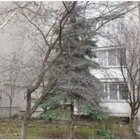 Дочка змінила замки і двері мені більше не відкриває. Наприкінці вересня у мене був день народження, я чекала – думала, дочка подзвонить, привітає, а вона навіть повідомлення не відправила.