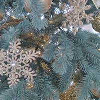 Нумерологічний прогноз на 2021 рік за датою народження: кому пощастить найбільше?