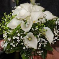 Катерина готувалася до весілля, бо усі дівчата вже бігали за її нареченим. Та перед Різдвом Дмитро позичив у нареченої 1000 гривень. Катерина гроші дала, а потім задумалася, а, можливо, й не треба т