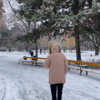 Я сама з маленького села, батьків моїх давно не стало, мене виховувала тітка. Коли я вивчилася, грошей у мене не було зовсім, бо в тітки були і свої діти. Я тоді влаштувалася працювати в пекарню.