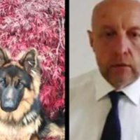 Жителька Ужгорода: Наша Кенді помepла. Ні. Не через хворобу чи нещасного випадку. Їй було всього 10 місяців. Її отруїло це дявольське утворення...