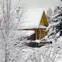 Довгих 8 років я їжджу на заробітки за кордон. Вдома дружина і син. За весь цей час ми поміняли однокімнатну квартиру на трикімнатну, зробили там гарний ремонт, купили машину і дачу хорошу.