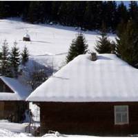 На Різдво Марія прийшла з церкви, включила телевізор і самотньо сіла за стіл. І тут зателефонувала її дочка Люба, з Канади, привітала матусю з святом, а потім ошелешила новиною – вона заміж виходить