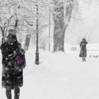 Рік тому я вийшла на пенсію. Стала підробляти. Сама можу ще якусь копійку відкласти і дітям своїм грошима допомагаю, а в суботу і неділю сиджу зі своїми онучками. Але невістці це не подобається.