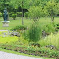 Матуся мого нареченого не злюбила мене відразу, за очі називала старою дівою яка окрутила її перспективного синочка. Постійно підкреслювала моє «провінційне» походження і спілкувалася так, ніби я щойн