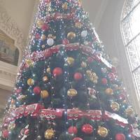 Три знаки Зодіаку, яким астрологи пророкують успіх цього тижня