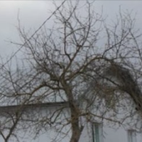 Два роки тому перед Різдвом прийшла Світлана до Марії грошей позичити. У Марії в цей час активно йшли ремонтні роботи в будинку, тому вона сестрі відмовила.