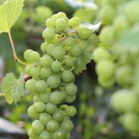 – Я заначку тримала, в своїй білизні. Ну було там тисяч 20, те, що премією в конвертах на роботі давали. Одного разу полізла в шафу розбирати, а грошей немає. Я до чоловіка, а він мнеться, мама взяла