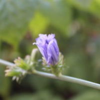 В один день я не пішла на роботу, купила заздалегідь замок, викликала майстра і сіла чекати, коли піде з дому свекруха. Тільки вона вийшла, я відразу ж зібрала її речі, виставила їх за поріг, чоловіко