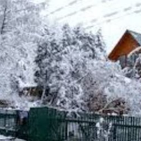 Зігравши весілля, ми стали жити в свекрів. В свою сім'ю вони мене не прийняли, навіть дітям моїм свекруха жодного разу миску супу не всипала, вона готували лише на двох з чоловіком, у нас навіть крупи