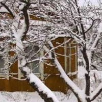 Коли на вулиці стемніло і в селі люди полягали спати, щоб ніхто з сусідів не бачив, Марія побігла до Петрової хати. Стала просити чоловіка і його батьків, щоб засватав її доньку.