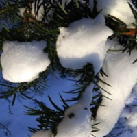 Знаки Зодіаку для яких рік Бика стане неймовірно щасливим та успішним