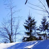 Коли брат прийшов з армії, його дівчина була на четвертому місяці очікування чуда. На побачення вона до нього не їздила. Ясен пень – чужа дитина. Брат з нею все одно одружився і привів її в наш будино