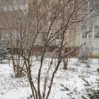 Цього року на свята свекруха покликала нас до себе в гості. Крім нас, до неї в гості прийшли ще дві її подруги. Ми сиділи, спілкувалися, колядували. А вже в самому кінці я вийшла на кухню, щоб допомог