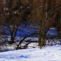 Жіночий гороскоп з 18 по 24 січня: Провести тиждень успішно допоможуть правильні установки, які не дадуть звернути зі шляху, побачивши тимчасових перешкод