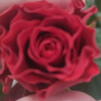 Знаки Зодіаку на яких чекає весілля у 2021 році