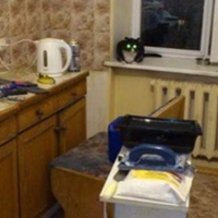 Все буде Україна