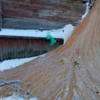 21 сторіччя. Архангельськ. Росія. Прорвало каналізацію і на морозі водоспад лайна застиг коричневою річкою.