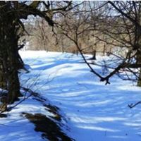 Гороскоп на лютий: експерти вважають, що лютий у 2021 році – найсприятливіший місяць