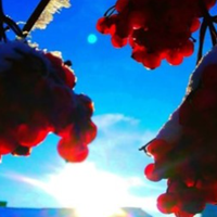 Знаки зодіаку, на які у лютому чекає неймовірна історія кохання. Їх всього три