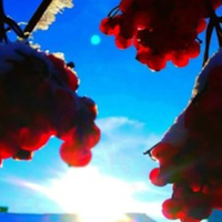 Знаки зодіаку, на які у лютому чекає неймовірна історія кохання. Їх всього три