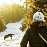 Зоряна брела на зупинку, і саме тоді зустріла свою давню подругу Ірину. Та, теж їхала у справах в місто, і запропонувала її підвезти.